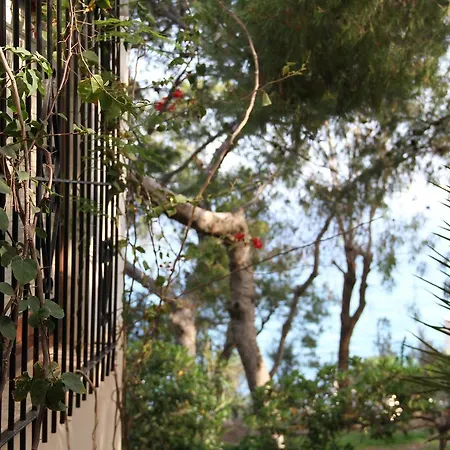 別荘 Chalet Cala Palmera *