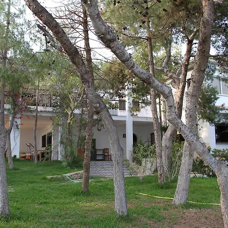 Chalet Cala Palmera Сasa de vacaciones Alicante
